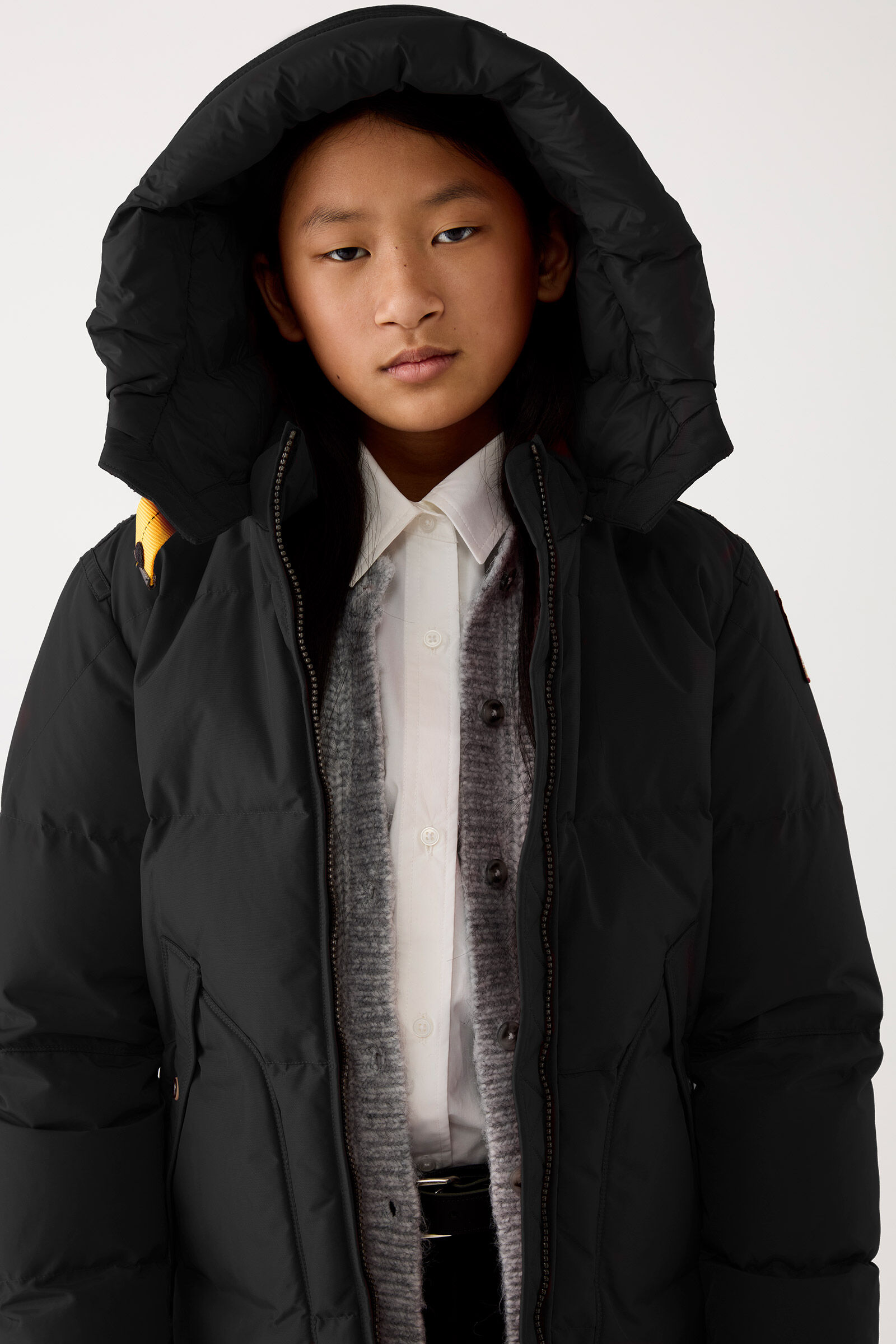 LONG BEAR - HOODIE-PAKET